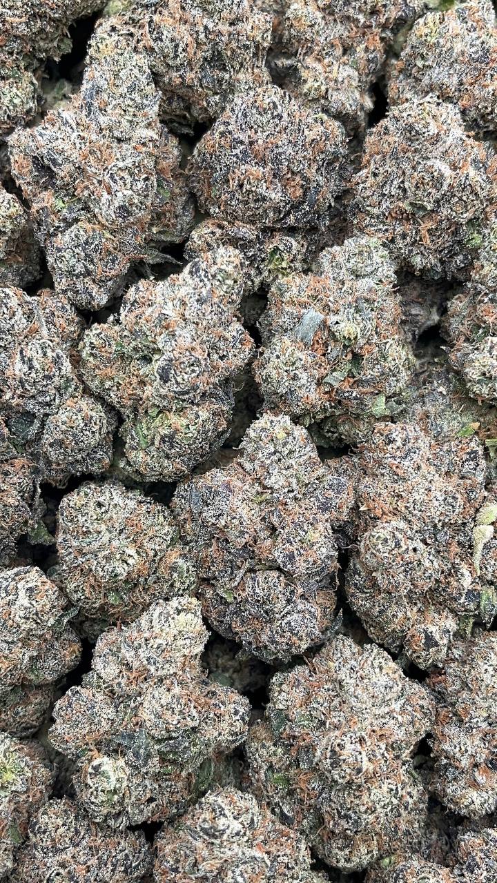 Lemon Cherry Fritter - PK695