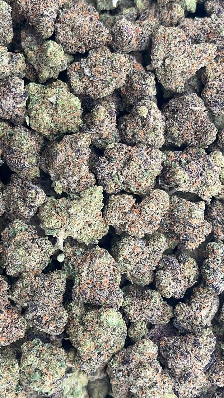 Cream Spritz Smalls - PK652