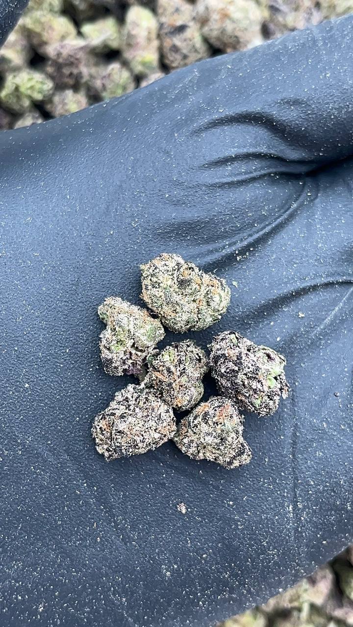 Cotton Candy Mochi Smalls - PK582