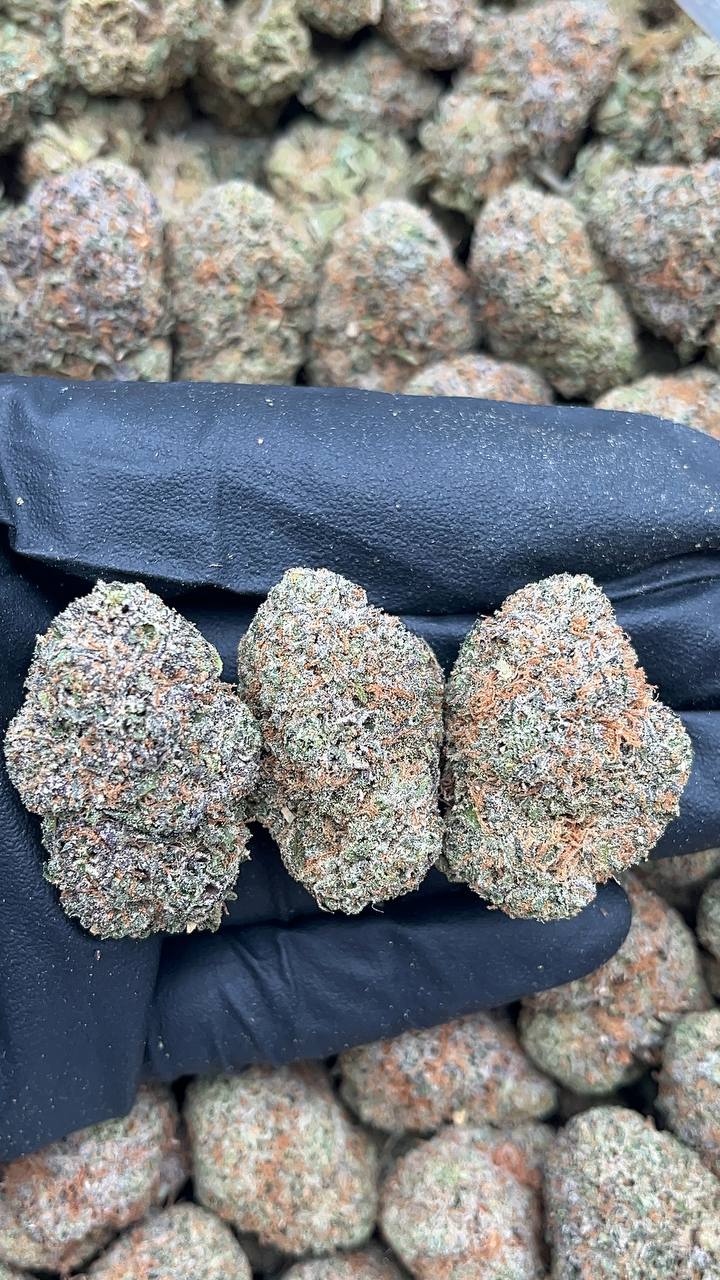 Cherry Burst - PK108