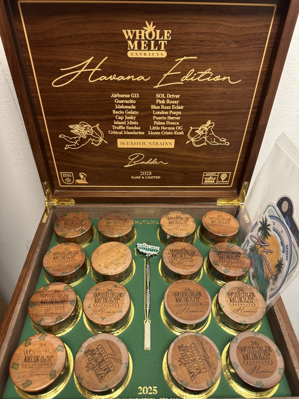 Whole Melt Havana