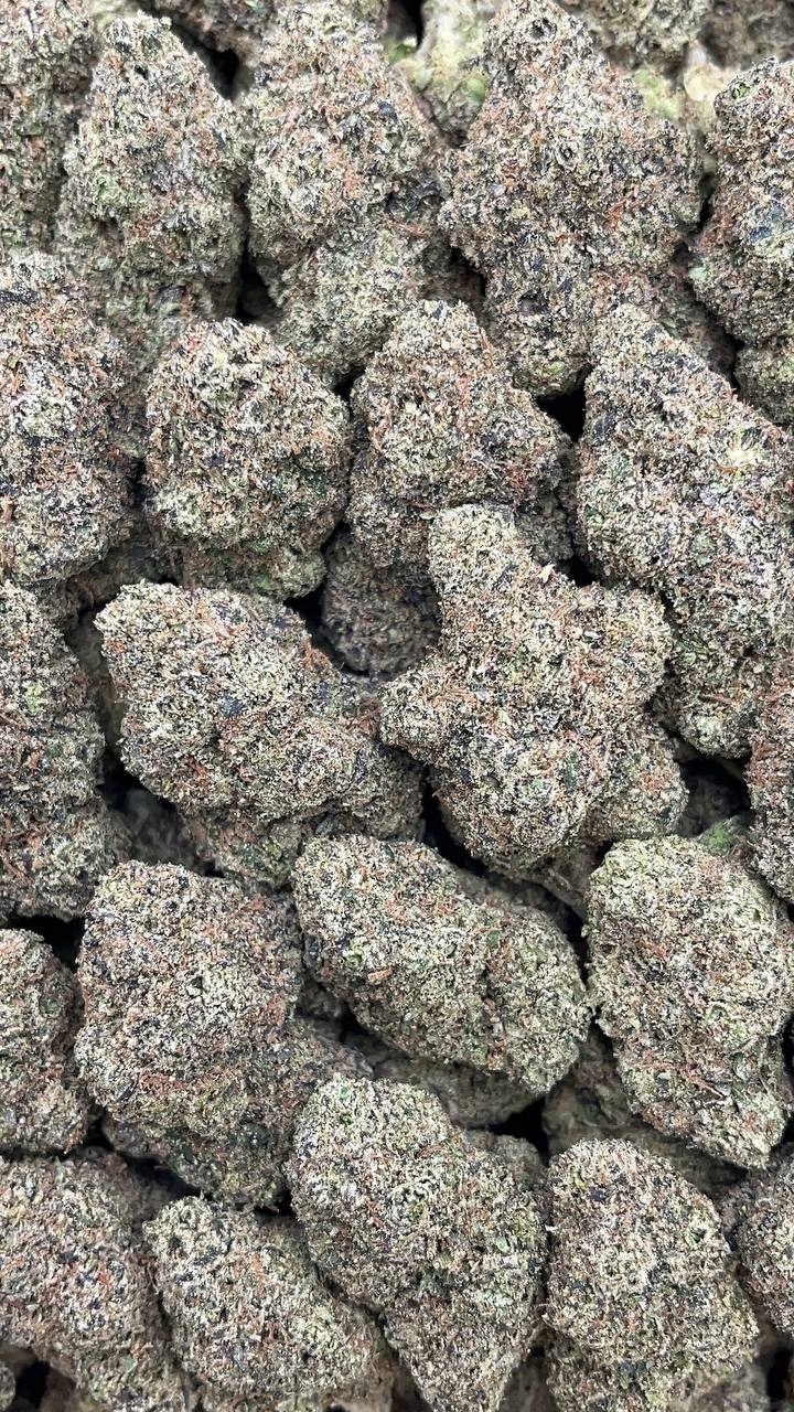 White Bubblegum - PK298