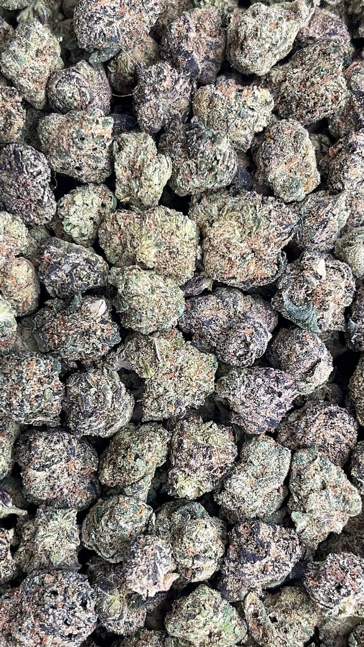 Martian Muffin Smalls - PK205