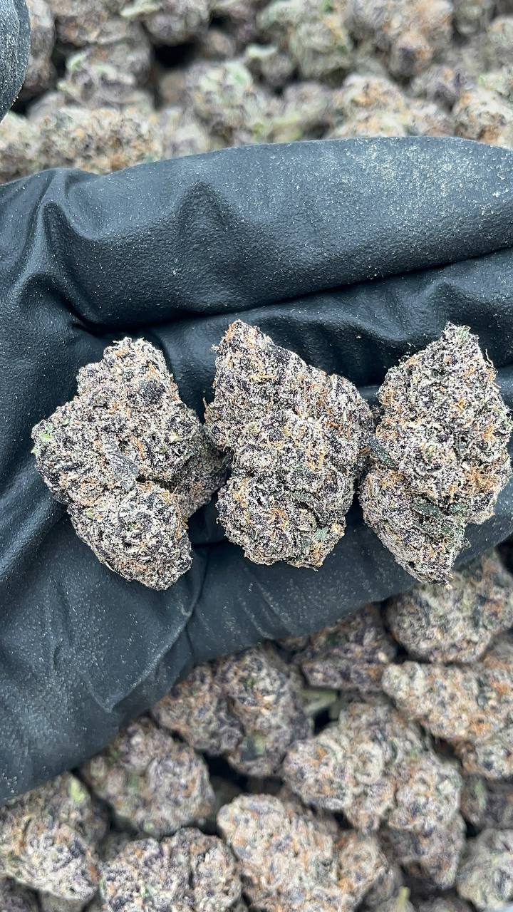 Rainbow Reserve - PK173