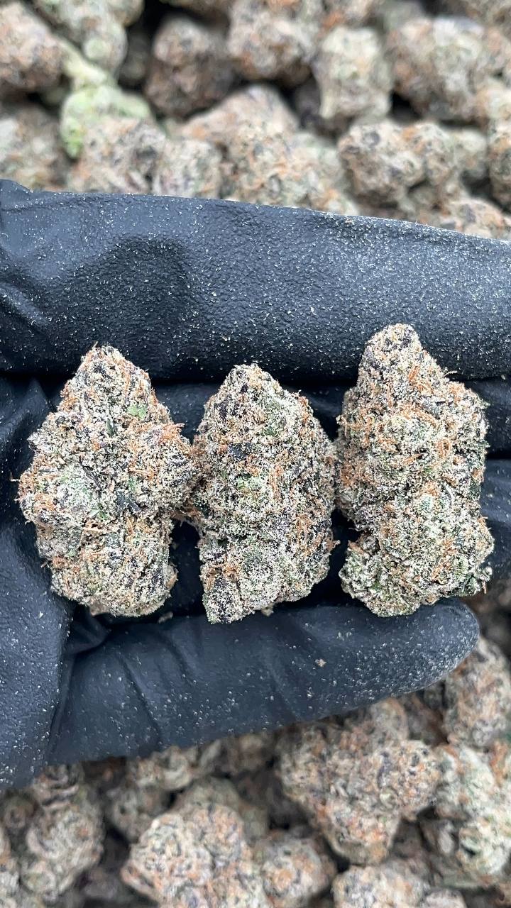 Blue Nerdz - PK214 (Licensed, organic)