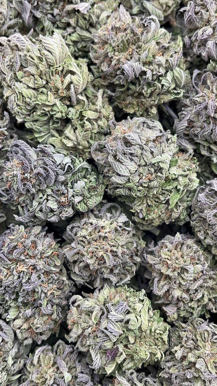 🔥Special Items 🔥 Platinum Berry - PK192