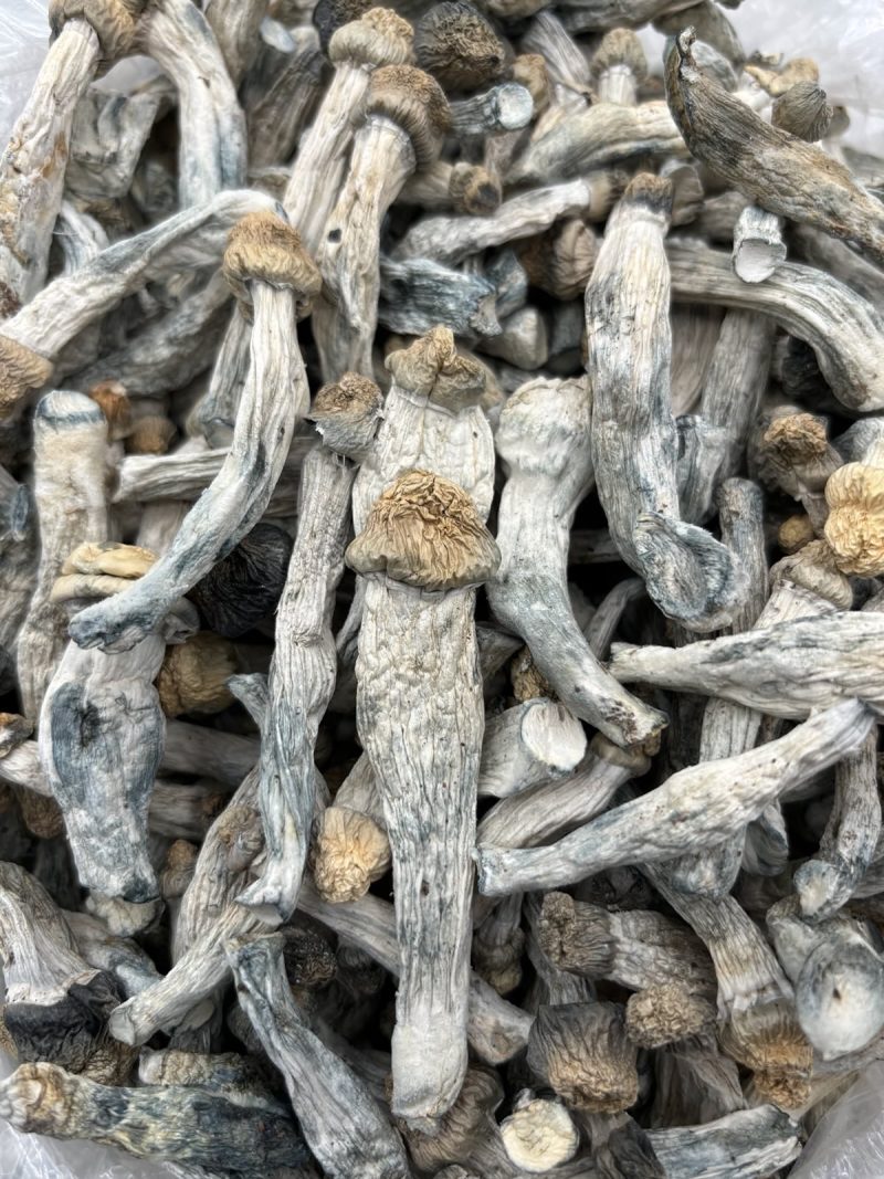 PENIS ENVY - JT605PIE