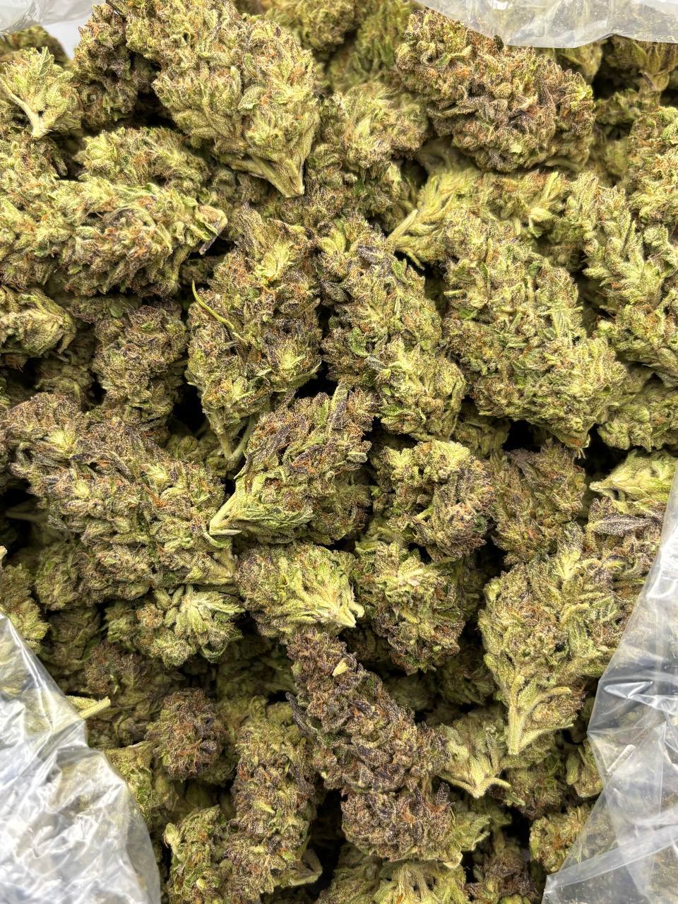 JMO COOKIES - LM828JMO